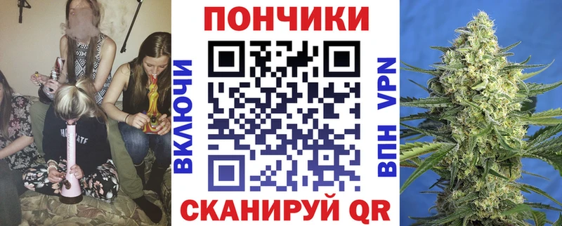Купить закладку Жердевка Каннабис A PVP Мефедрон КОКАИН