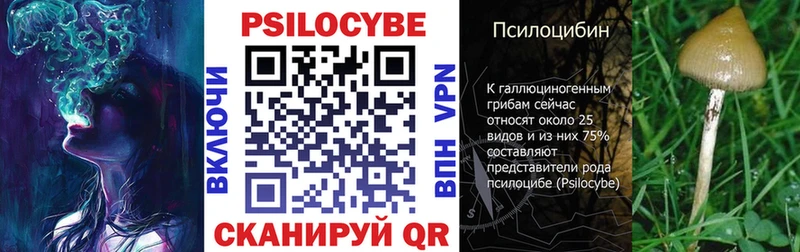 Псилоцибиновые грибы мицелий  как найти   блэк спрут ССЫЛКА  Жердевка 